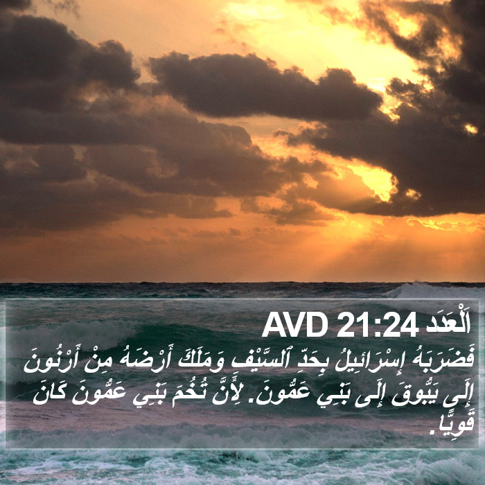 اَلْعَدَد 21:24 AVD Bible Study