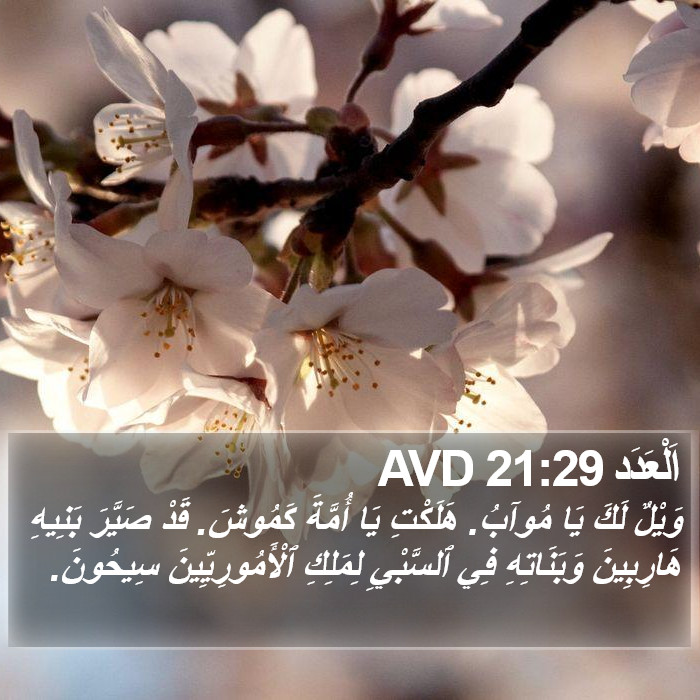 اَلْعَدَد 21:29 AVD Bible Study