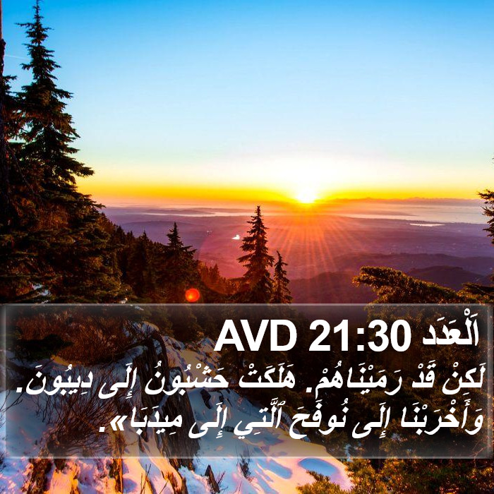 اَلْعَدَد 21:30 AVD Bible Study