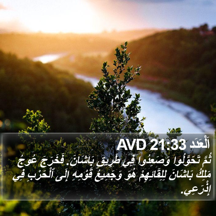 اَلْعَدَد 21:33 AVD Bible Study