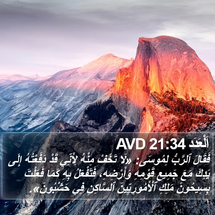 اَلْعَدَد 21:34 AVD Bible Study