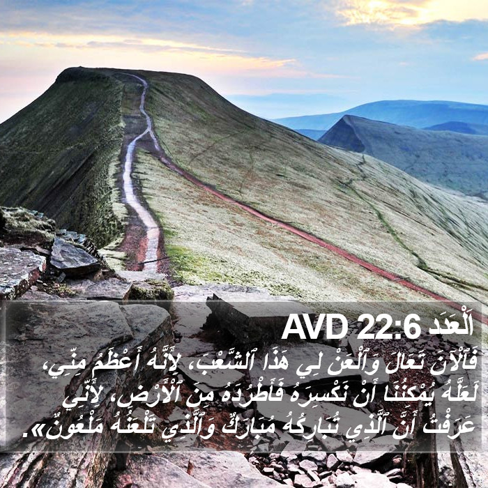 اَلْعَدَد 22:6 AVD Bible Study