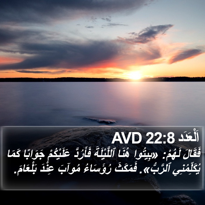 اَلْعَدَد 22:8 AVD Bible Study