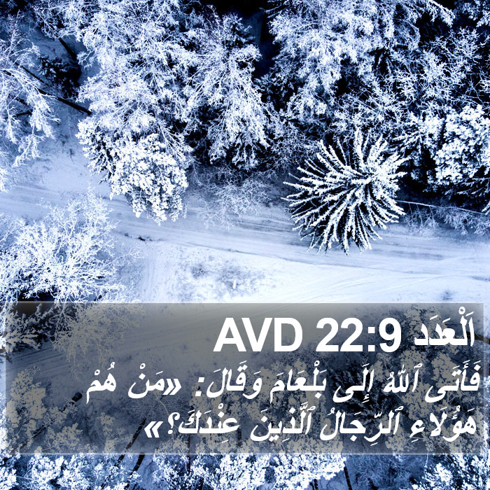 اَلْعَدَد 22:9 AVD Bible Study