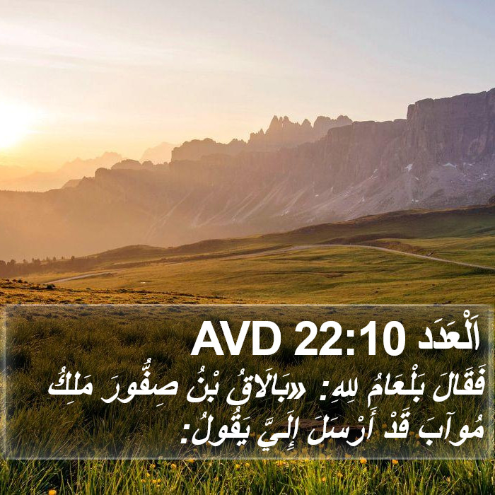 اَلْعَدَد 22:10 AVD Bible Study