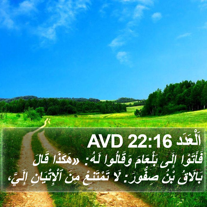 اَلْعَدَد 22:16 AVD Bible Study