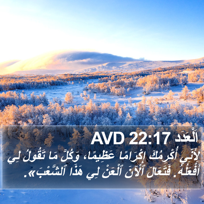 اَلْعَدَد 22:17 AVD Bible Study