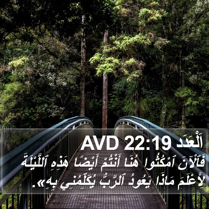 اَلْعَدَد 22:19 AVD Bible Study