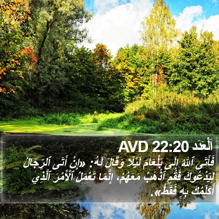 اَلْعَدَد 22:20 AVD Bible Study