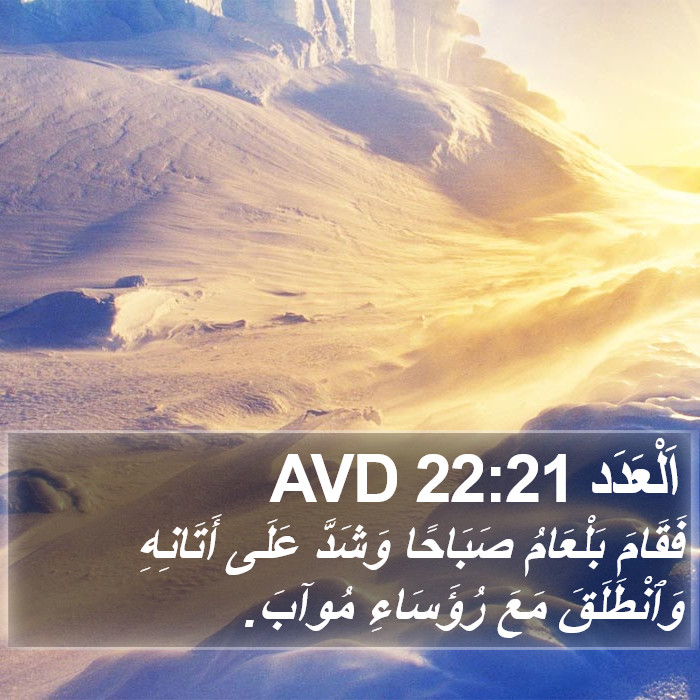 اَلْعَدَد 22:21 AVD Bible Study