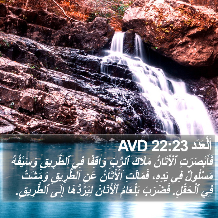 اَلْعَدَد 22:23 AVD Bible Study