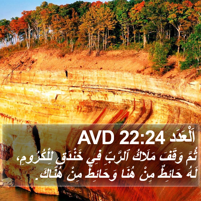 اَلْعَدَد 22:24 AVD Bible Study