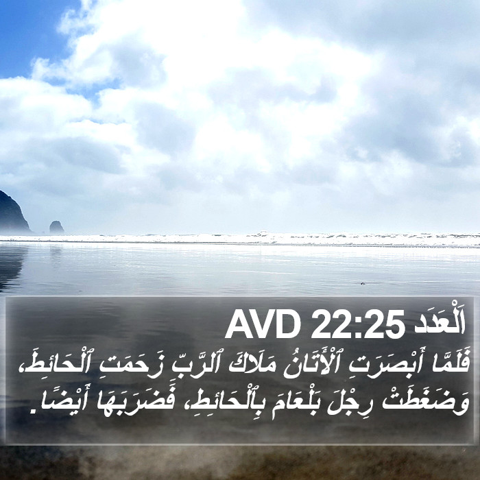 اَلْعَدَد 22:25 AVD Bible Study