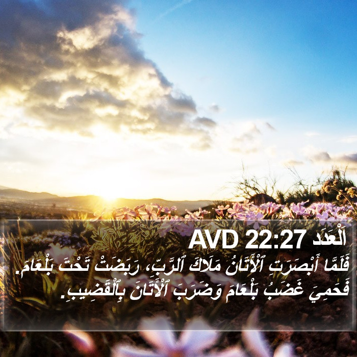 اَلْعَدَد 22:27 AVD Bible Study