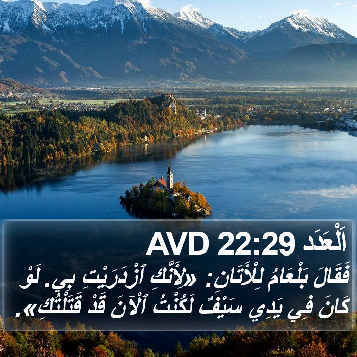 اَلْعَدَد 22:29 AVD Bible Study