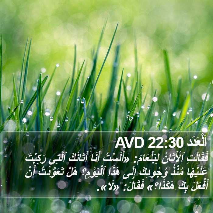 اَلْعَدَد 22:30 AVD Bible Study