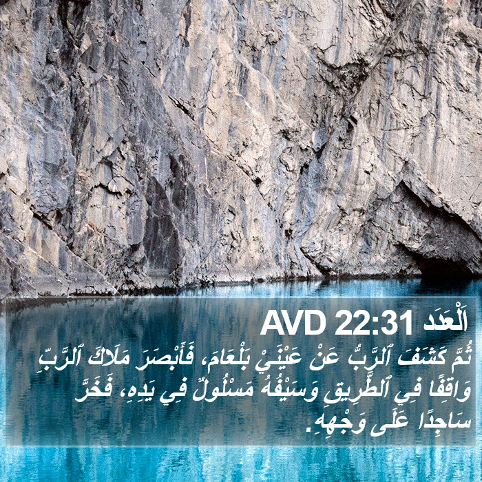 اَلْعَدَد 22:31 AVD Bible Study
