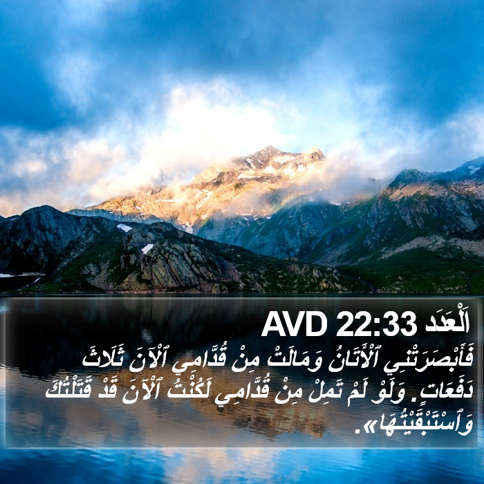 اَلْعَدَد 22:33 AVD Bible Study