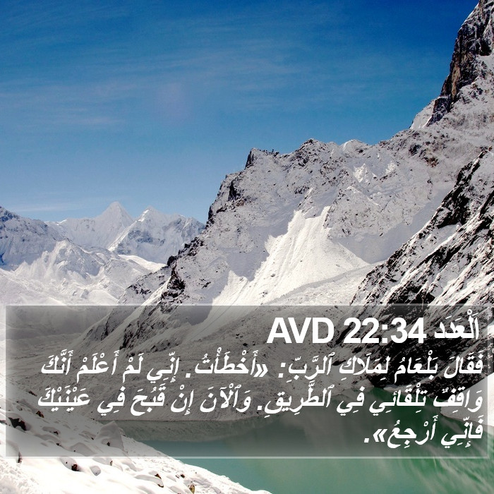 اَلْعَدَد 22:34 AVD Bible Study