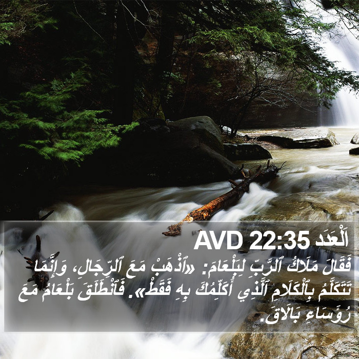 اَلْعَدَد 22:35 AVD Bible Study