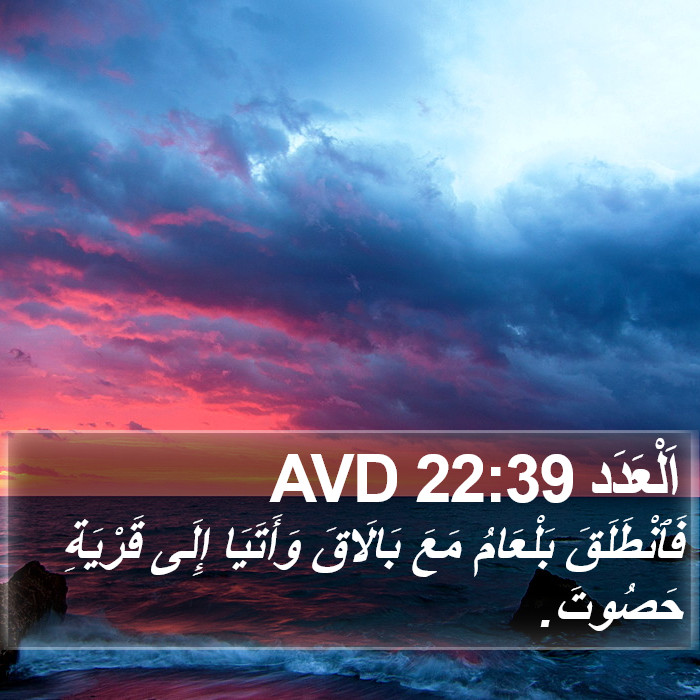 اَلْعَدَد 22:39 AVD Bible Study