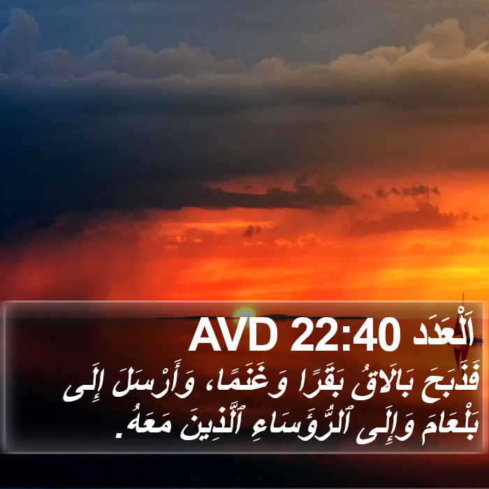 اَلْعَدَد 22:40 AVD Bible Study