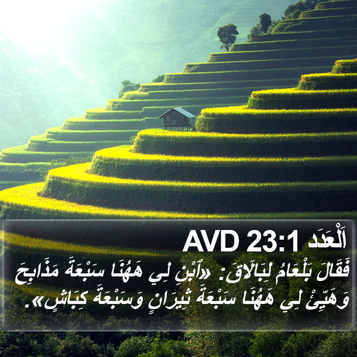 اَلْعَدَد 23:1 AVD Bible Study
