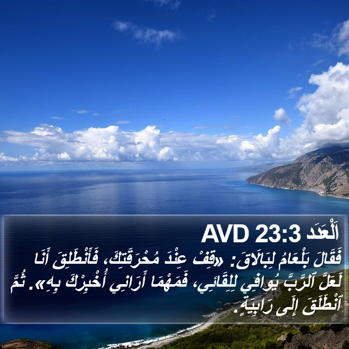 اَلْعَدَد 23:3 AVD Bible Study