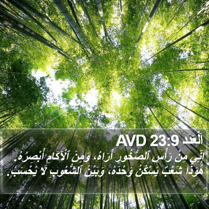 اَلْعَدَد 23:9 AVD Bible Study
