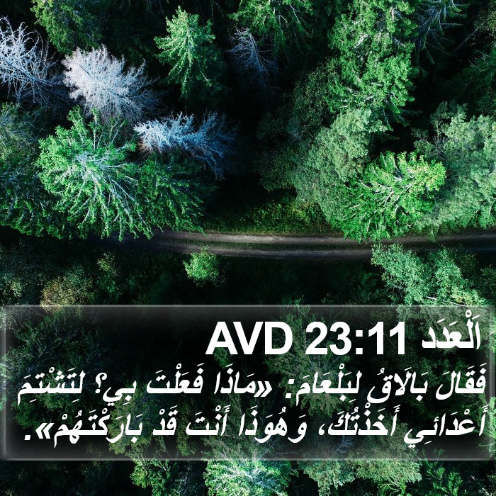 اَلْعَدَد 23:11 AVD Bible Study