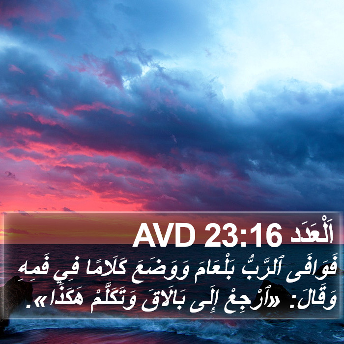 اَلْعَدَد 23:16 AVD Bible Study