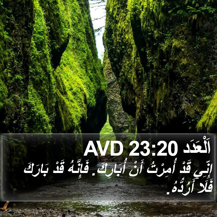 اَلْعَدَد 23:20 AVD Bible Study