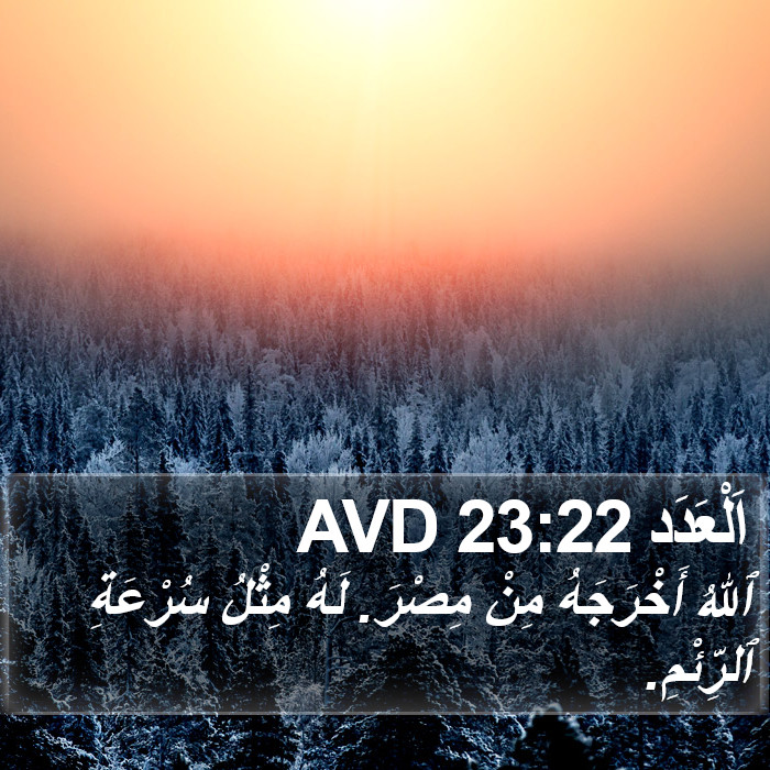 اَلْعَدَد 23:22 AVD Bible Study