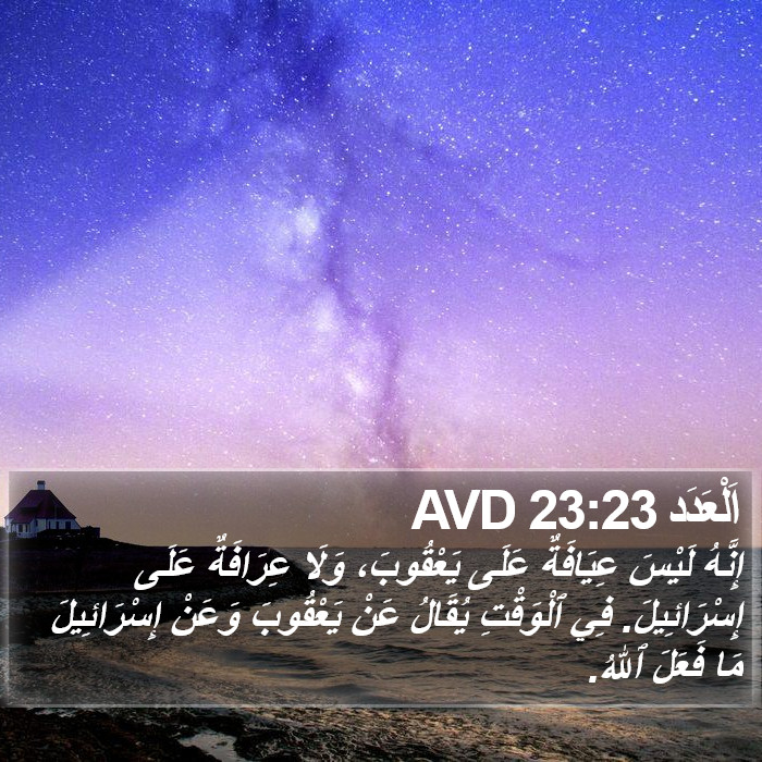 اَلْعَدَد 23:23 AVD Bible Study