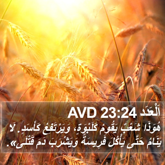 اَلْعَدَد 23:24 AVD Bible Study