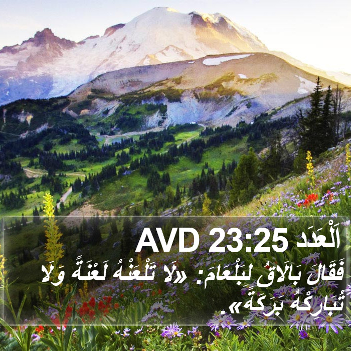 اَلْعَدَد 23:25 AVD Bible Study