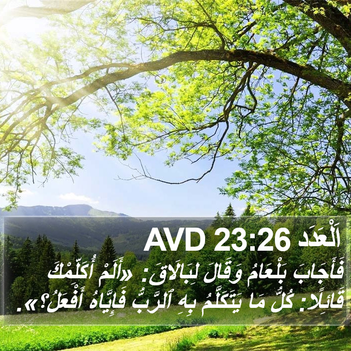 اَلْعَدَد 23:26 AVD Bible Study