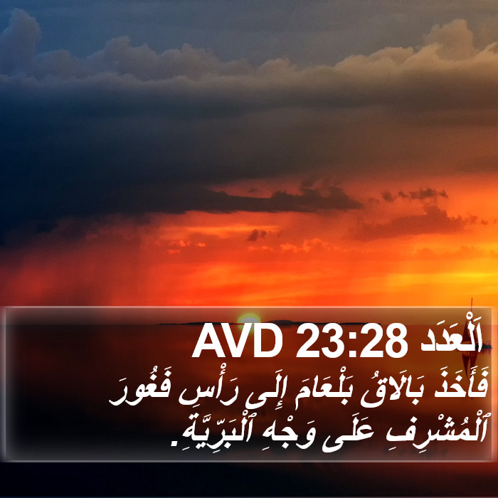 اَلْعَدَد 23:28 AVD Bible Study