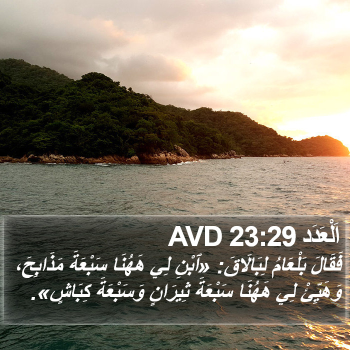 اَلْعَدَد 23:29 AVD Bible Study