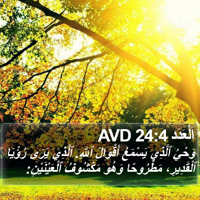 اَلْعَدَد 24:4 AVD Bible Study