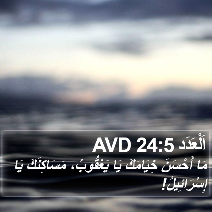 اَلْعَدَد 24:5 AVD Bible Study