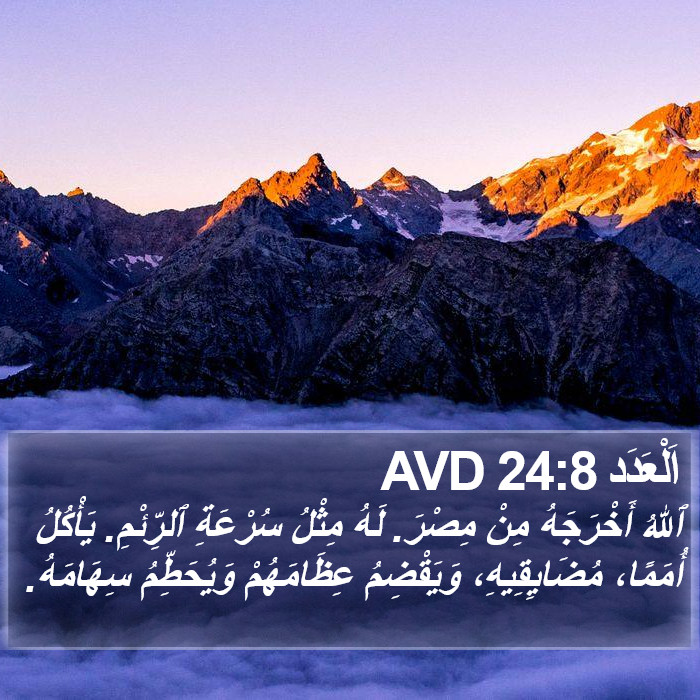 اَلْعَدَد 24:8 AVD Bible Study