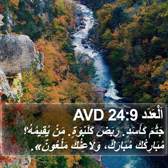 اَلْعَدَد 24:9 AVD Bible Study