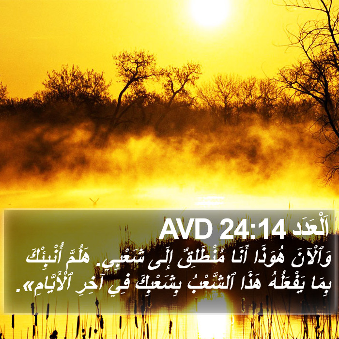 اَلْعَدَد 24:14 AVD Bible Study