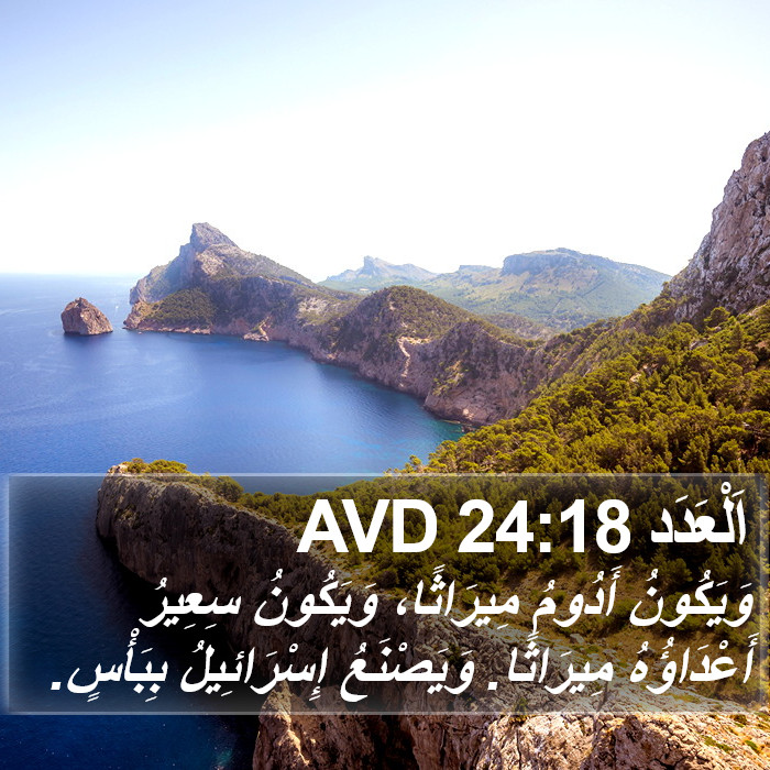 اَلْعَدَد 24:18 AVD Bible Study