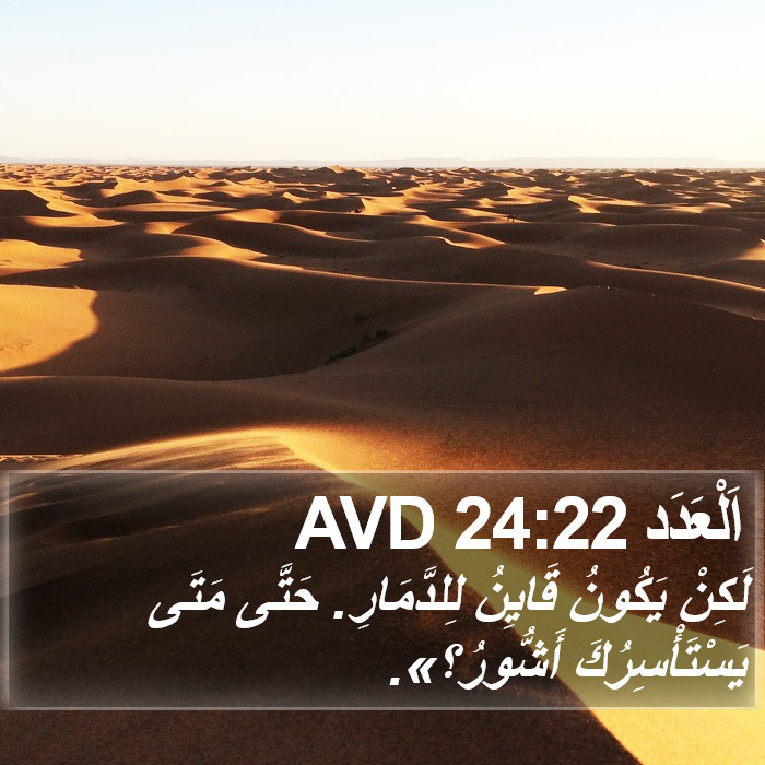 اَلْعَدَد 24:22 AVD Bible Study