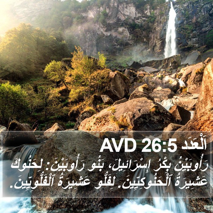 اَلْعَدَد 26:5 AVD Bible Study