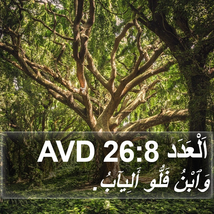 اَلْعَدَد 26:8 AVD Bible Study