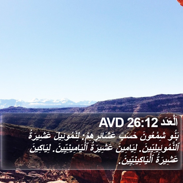 اَلْعَدَد 26:12 AVD Bible Study