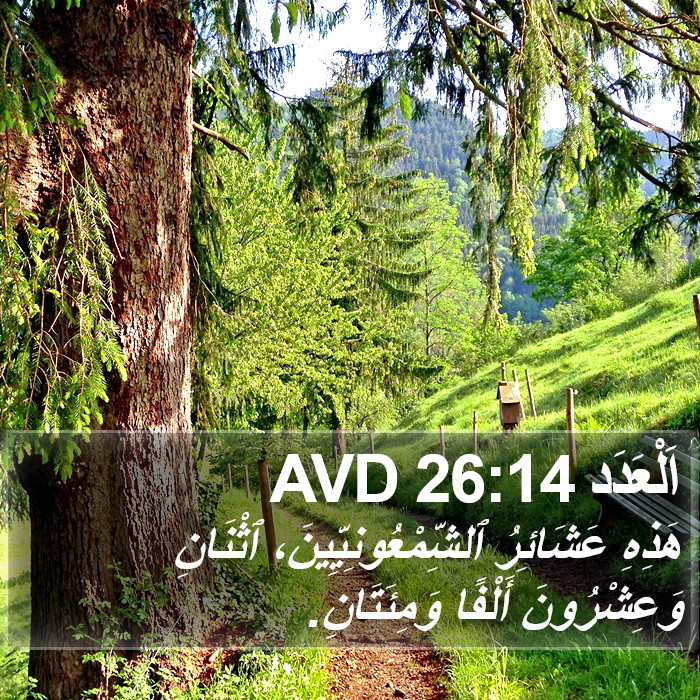 اَلْعَدَد 26:14 AVD Bible Study